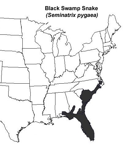 Figure 1. Black swampsnake range (shown in black).