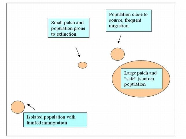Figure 2. A cluster of wildlife populations of various sizes and degrees of isolation. Together these populations comprise a metapopulation, which is to say, they are all part of an interbreeding group even though some of the component populations will share genes more than others.