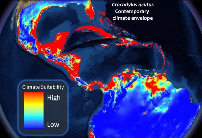 Figure 5. Preliminary output of the cooperative climate envelope project shows the climate envelope for the American crocodile, Crocodylus acutus, at present (A).