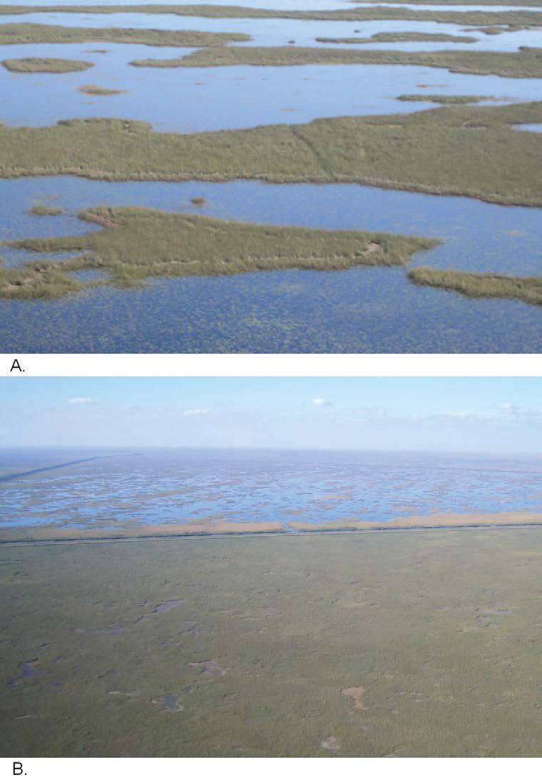 A) Well-preserved ridge and slough habitat from central Water Conservation Area (WCA) 3A, similar to predrainage conditions. B) Foreground is degraded ridge and slough landscape in the Pocket between L-67A and L-67C. Landscape has been almost completely converted to sawgrass, and sloughs have almost completely disappeared. Background, across the L-67A canal and levee, is well-preserved ridge and slough habitat in WCA 3A.