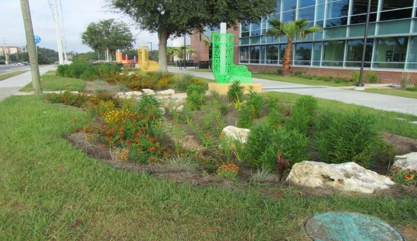 Figure 2. A bioretention area at SW Recreation Center, University of Florida