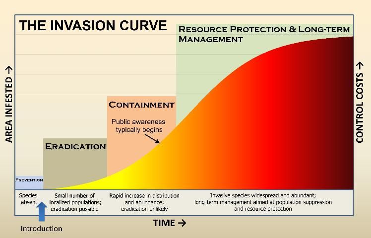 Figure 1. The invasion curve illustrates an increase in infested areas and associated costs at each stage of the invasion process.
