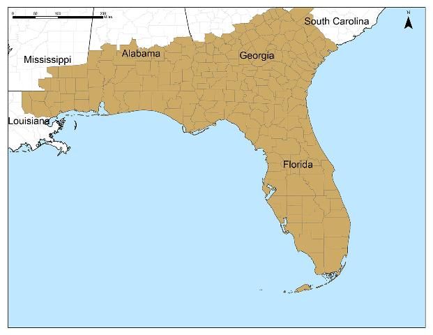 Figure 3. States and counties with Gopher Tortoise populations.