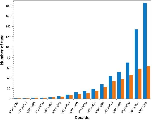 Figure 1. Accumulation of total intercepted introduced (n = 185, blue) and established (n = 63, orange) nonnative amphibians and reptiles in Florida by decade from 1863 through 2015.