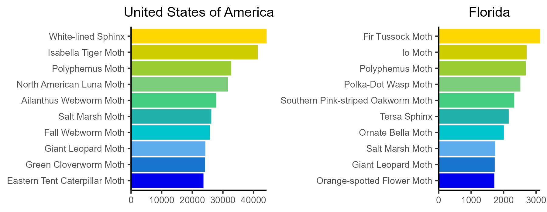 Number of iNaturalist observations for the top ten species of moths observed in the United States of America and the state of Florida.