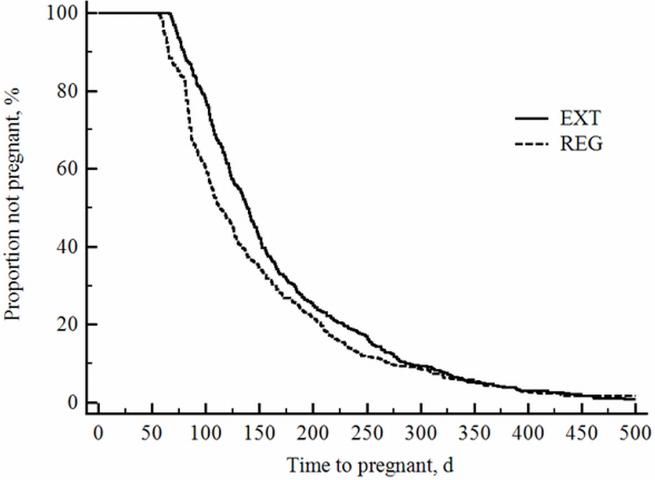 Figure 1. Kaplan-Meier survival curve for time to pregnancy up to 500 DIM for EXT and REG groups. Cows in the EXT group (n = 697) had VWP between 64 and 121 DIM (avg. 83 DIM); cows in the REG group (n = 719) had voluntary waiting period (VWP) between 57 and 63 DIM. The EXT group had increased median days open compared to REG group (139 vs. 113 d; P < 0.001).
