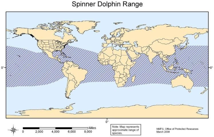 Figure 46. Spinner dolphin range.