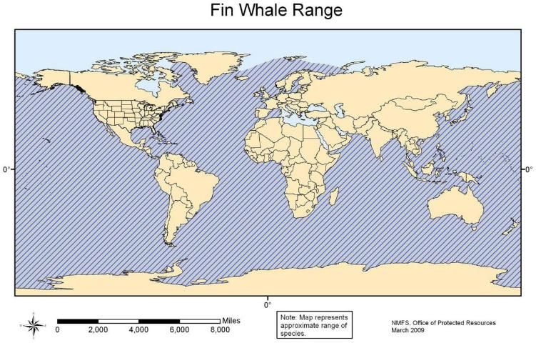 Figure 37. Fin whale range.