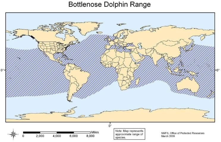 Figure 19. Bottlenose dolphin range.