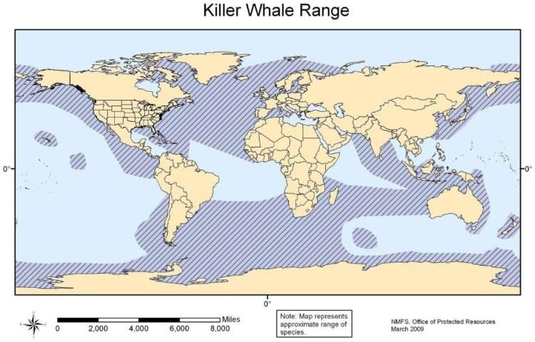 Figure 13. Killer whale range.