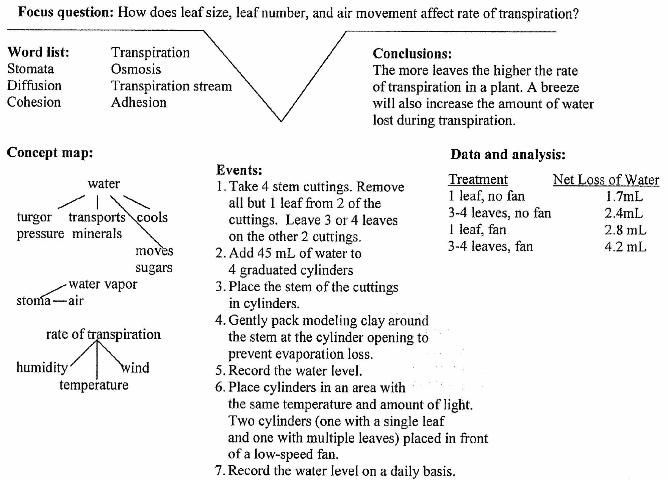 Figure 4. Example Vee map of transpiration laboratory activity
