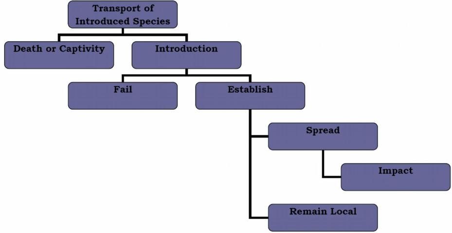 Figure 3. A multiflow map depicting the process of establishment for invasive species.