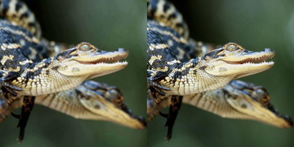 Figure 4. Low (left) and high (right) resolution versions of the same photo.