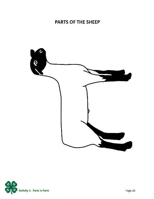 Parts of the sheep outline drawing. Page 28 of the PDF.