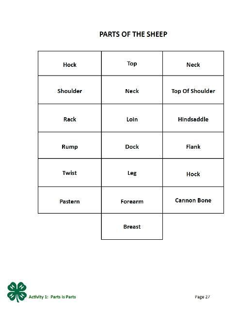 Parts of the Sheep: Hock, Top, Neck; Shoulder, Neck, Top of the Shoulder; Rack, Loin, Hindsaddle; Rump, Dock, Flank; Twist, Leg, Hock; Pastern, Forearm, Cannon Bone; Breast. Page 27 of the PDF