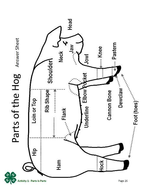 Parts of the Hog Answer Sheet: outline drawing labeled with the location of the parts. Page 26 of the PDF.