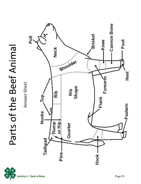 Parts of the Beef Animal answer sheet, page 23 of the PDF