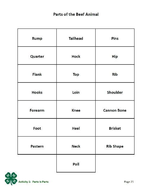 Parts of the Beef Animal: Rump, Tailhead, Pins; Quarter, Hock, Hip; Flank, Top, Rib; Hooks, Loin, Shoulder; Forearm, Knee, Cannon Bone; Foot, Heel, Brisket; Pastern, Neck, Rib Shape; Poll. Page 21 of the PDF.