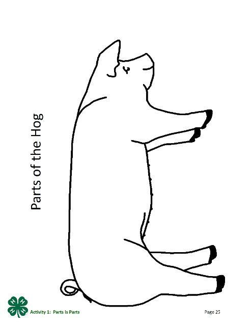 Parts of the Hog outline drawing, page 25 of the PDF