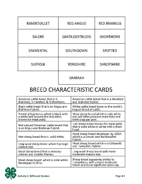 Image 5 (continued identification cards): Rambouillet, Red Angus, Red Brangus; Salers, Santa Gertrudis, shorthorn; Simmental, Southdown, Spotted; Suffolk, Yorkshire, Shropshire; Simbrah. Breed Characteristic Cards. Page 40 of the PDF.