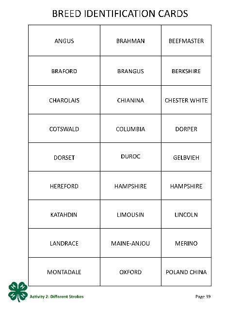 Image 4 Breed Identification Cards: Angus, Brahman, Beefmaster; Braford, Brangus, Berkshire; Charolais, Chianina, Chester White; Costswald, Columbia, Dorper; Dorset, Duroc, Gelbvieh; Hereford, Hampshire, Hampshire; Katahdin, Limousin, Lincoln; Landrace, Maine-Anjou, Merino; Montadale, Oxford, Poland China. Page 39 of the PDF.