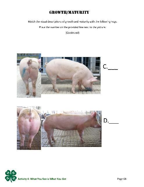 Page 68 of the PDF, Growth/Maturity.