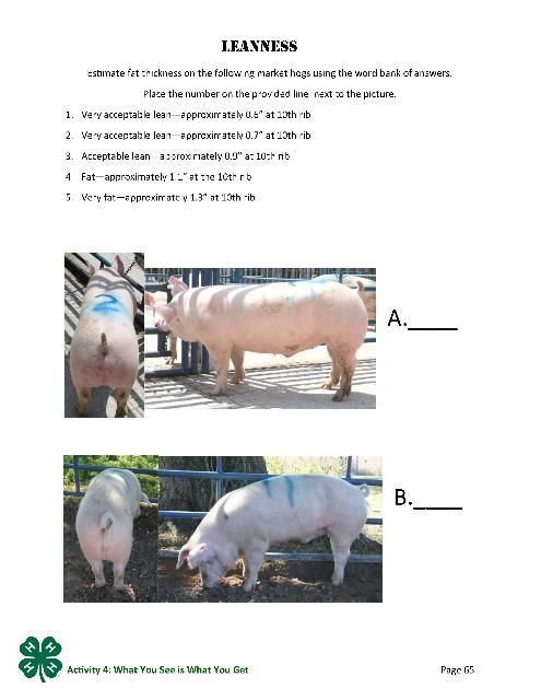 Page 65 of the PDf. Leanness.