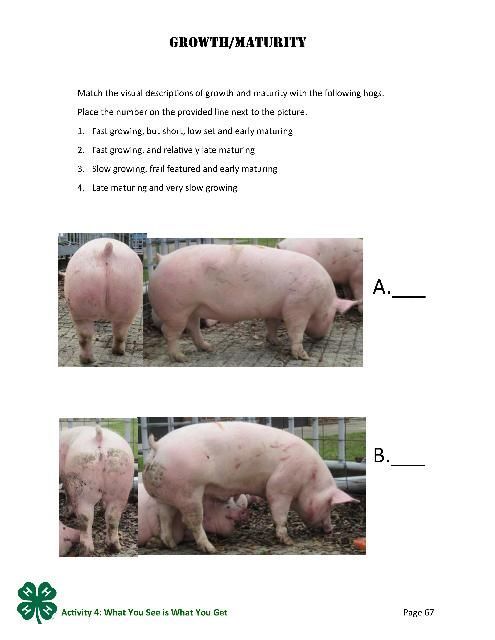 Page 67 of the PDF, Growth/Maturity.