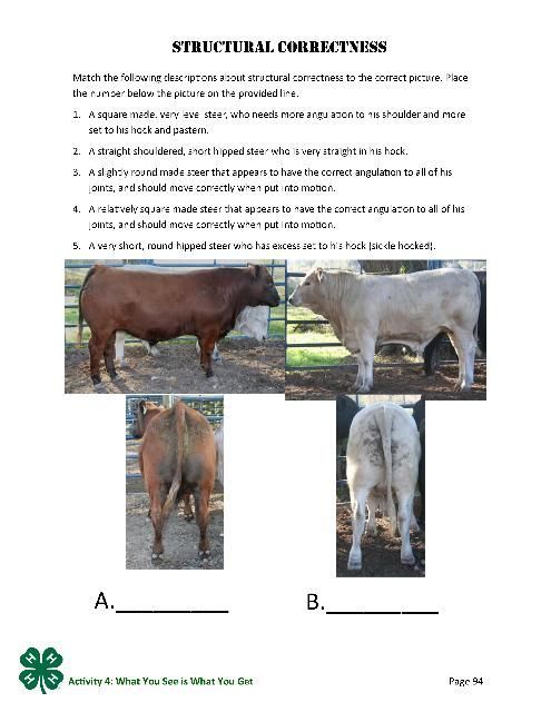 Structural Correctness, p. 94.