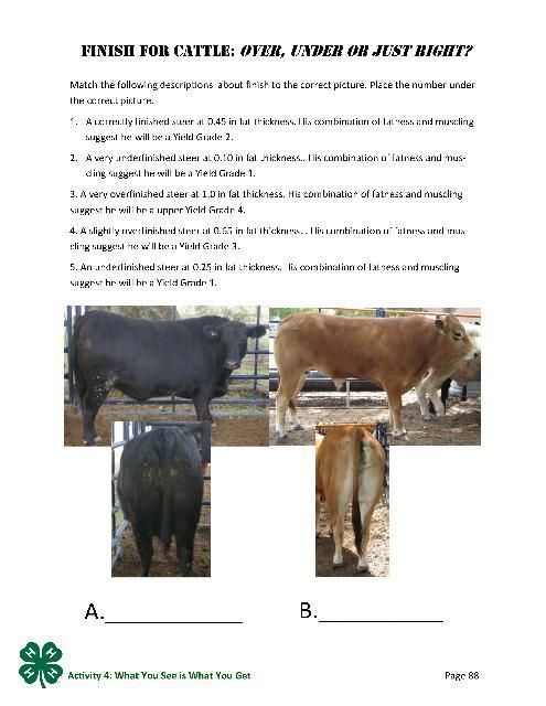 Finish for Cattle: Over, Under, or Just Right? p. 88.