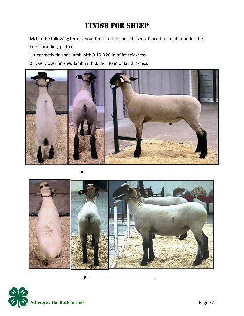 PDF p.77 Finish for sheep.