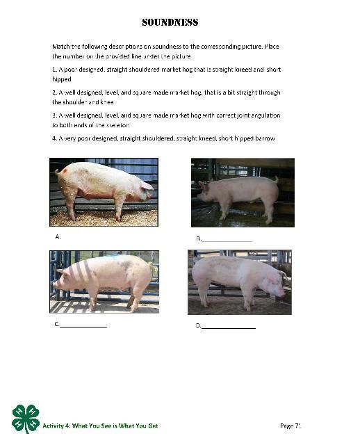 Page 72 of the PDf, Soundness.