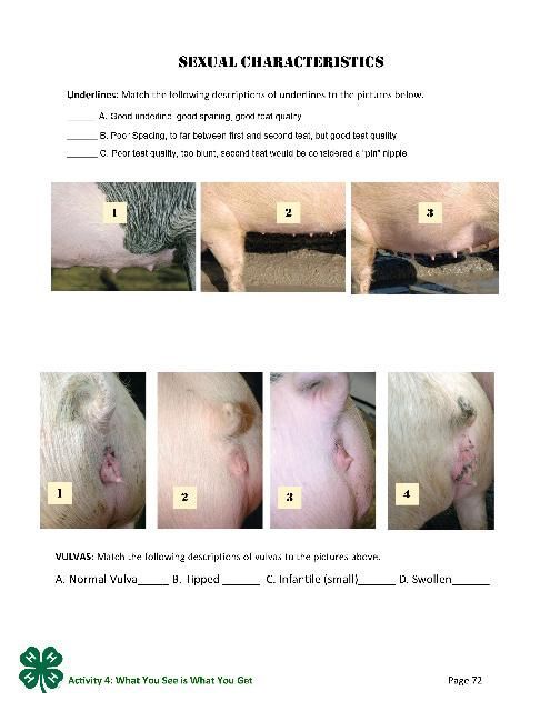 Page 72 of the PDF, Sexual Characteristics.