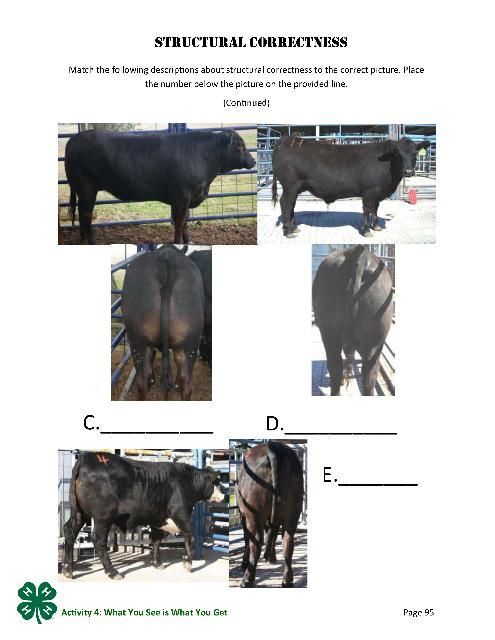 Structural Correctness, p. 95.