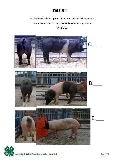 Page 70 of the PDF, Volume.