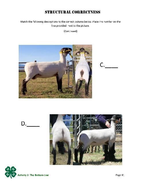 Structural Correctness, p.81.