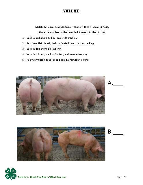 Page 69 of the PDF, Volume.