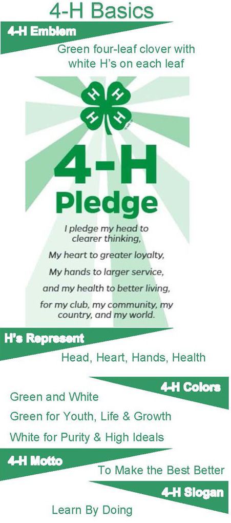 This graphic image highlights several 4-H basics including the 4-H emblem, pledge, colors, symbolisms, mottos, and slogan.