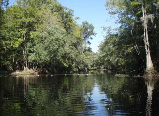 Figure 2. The Floridian Aquifer is connected to many lakes and rivers by seepage through sand and rock