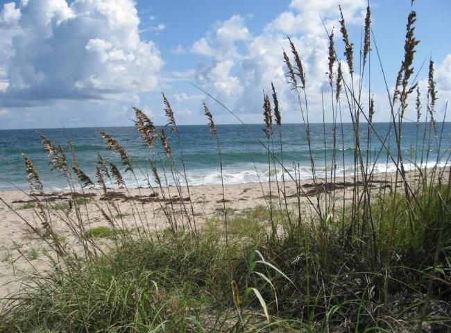Figure 1. Beach, dune, and barrier island ecosystems change constantly due to winds, tides, and currents