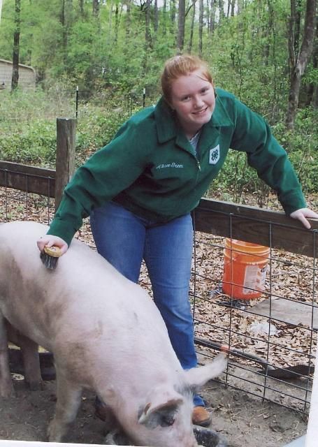 Figure 7. This 4-H member is working on another successful market hog project.