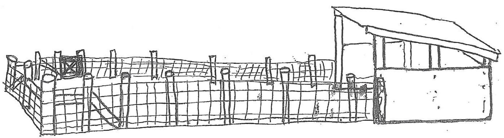 Figure 4. This drawing illustrates what a pig pen and shelter might look like for a market hog project.