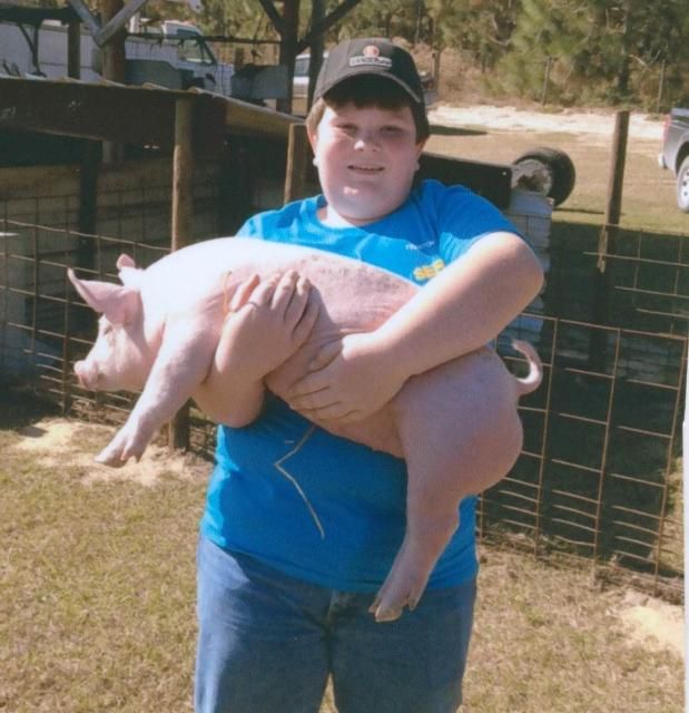Figure 3. This 4-H member has chosen his pig for his market hog project.