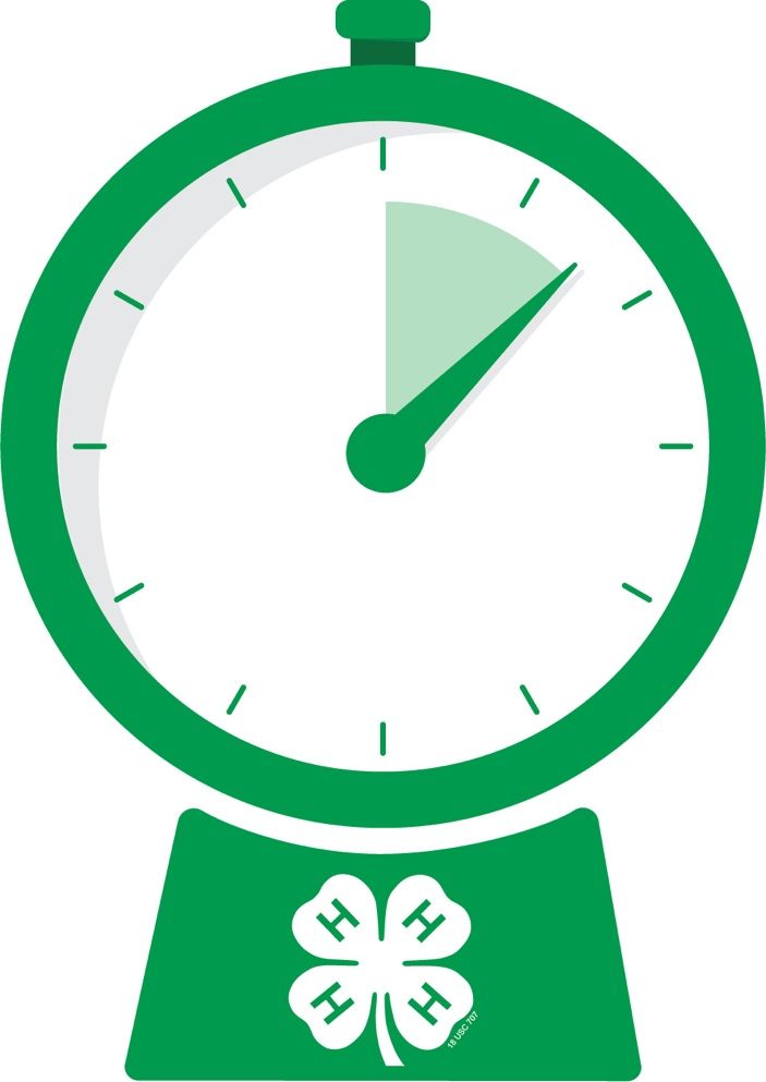 A green and white clock

Description automatically generated with medium confidence