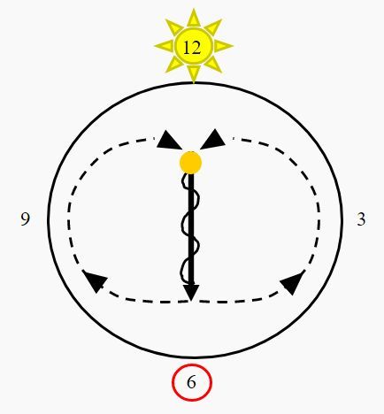 Figure 7 An example using the face of a clock to understand the direction of the sun, the floral resource, and the direction the worker bee would waggle on the frame.