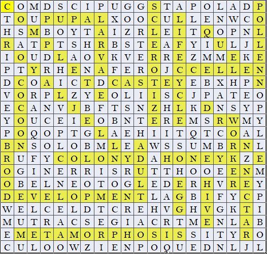 Image 121 word search answer key.