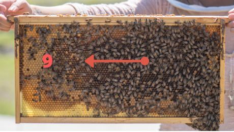 Image 130 Arrow points left to number 9.