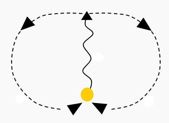  An illustration of the waggle dance path. 