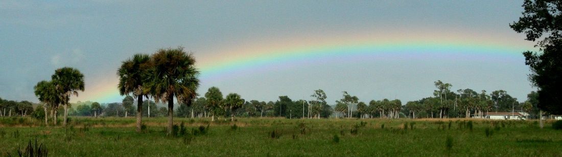 Figure 6 A rainbow shows the colors of visible light.