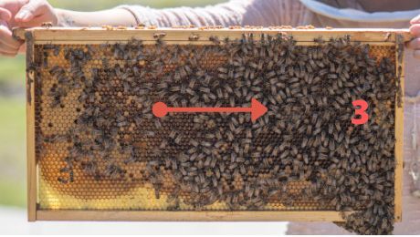 Image 129 Arrow points across to number 3.